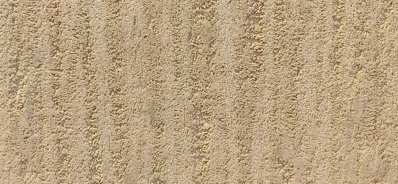 WhatsApp Image 2025-06-19 at 1.45.54 AM